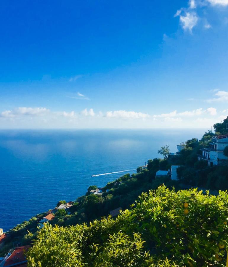 Casa Luisa & Milu , Coastal Retreats In Furore! מראה חיצוני תמונה